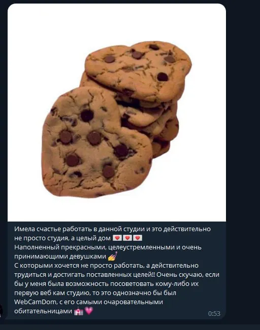 вебкам работа